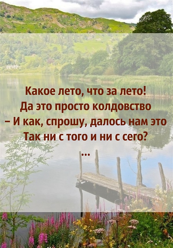 1. Эти строчки написал…