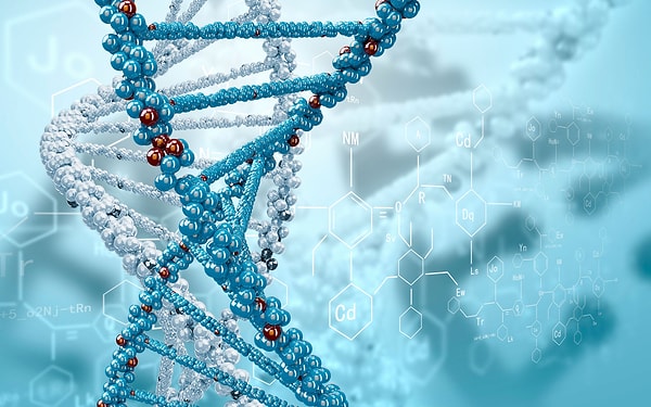 1. У женщин 23 хромосомы, а у мужчин - 46