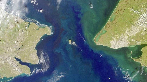 13. Северная Америка и Евразия разделены...