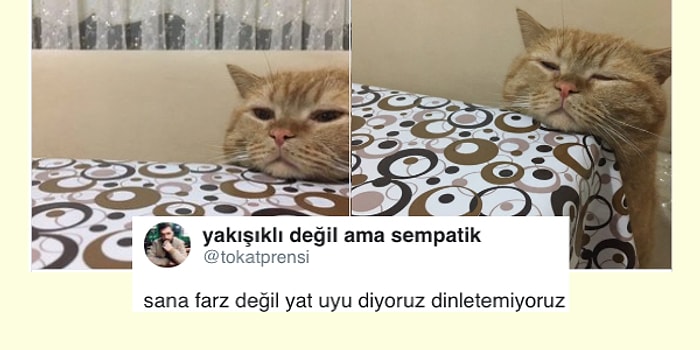 Ramazan'ın Mizahla Geçtiğini Gösteren Bu Ayın En İyi Paylaşımları