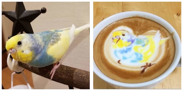 Пить такой арт-латте, разрушая изображения, становится даже как-то не ловко.