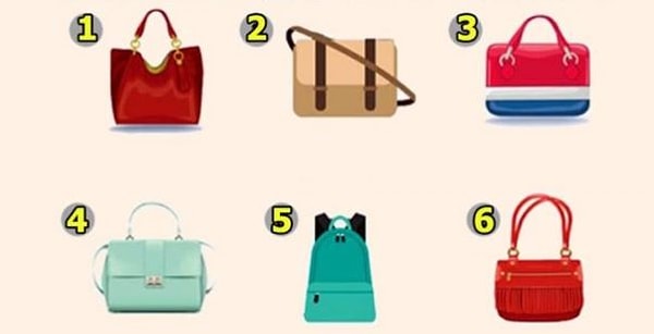 Посмотрите на все 6 сумочек и выберите самую приглянувшуюся. Долго думать не нужно.