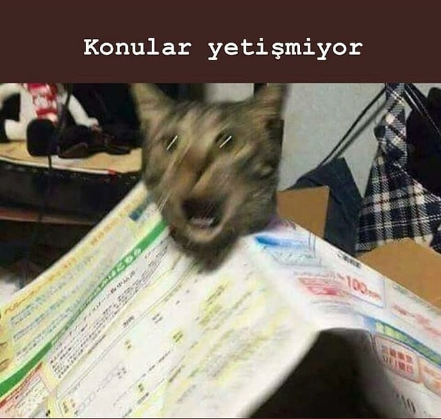 11. Bir de bayram demeden sınav yapan üniversiteler var değil mi?