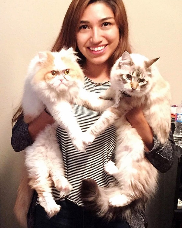 У Мишель есть вторая кошка по кличке Моне, которая, хоть и выглядит милой, но та еще забияка и часто обижает Луи.