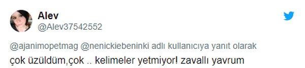 Sosyal medyada da #KocaaliBarınakTecavuz etiketiyle tepkiler paylaşıldı...