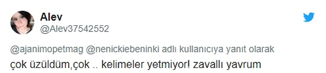 Sosyal medyada da #KocaaliBarınakTecavuz etiketiyle tepkiler paylaşıldı...