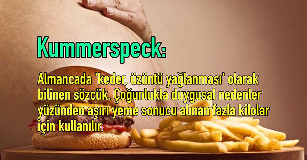 Öğrenir Öğrenmez 'Ben Bu Bilgileri Duymadan Önce Nasıl Yaşıyordum!' Diye Hayıflanacağınız 15 Soru ve 15 Cevap
