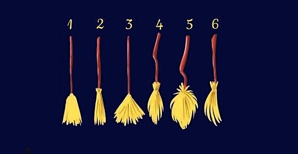 Какая метла вам приглянулась?