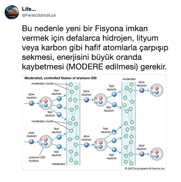 26.