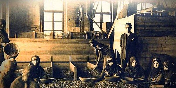 21. Fındık işleme fabrikası, Giresun, 1934.