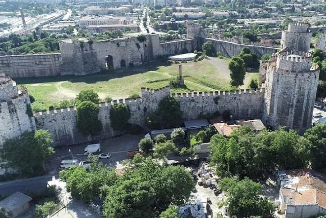 16 Asırlık İstanbul Surlarında 'İstilacı Bitki' Tehdidi: 'Tarihi Mirası Yok Ediyor'