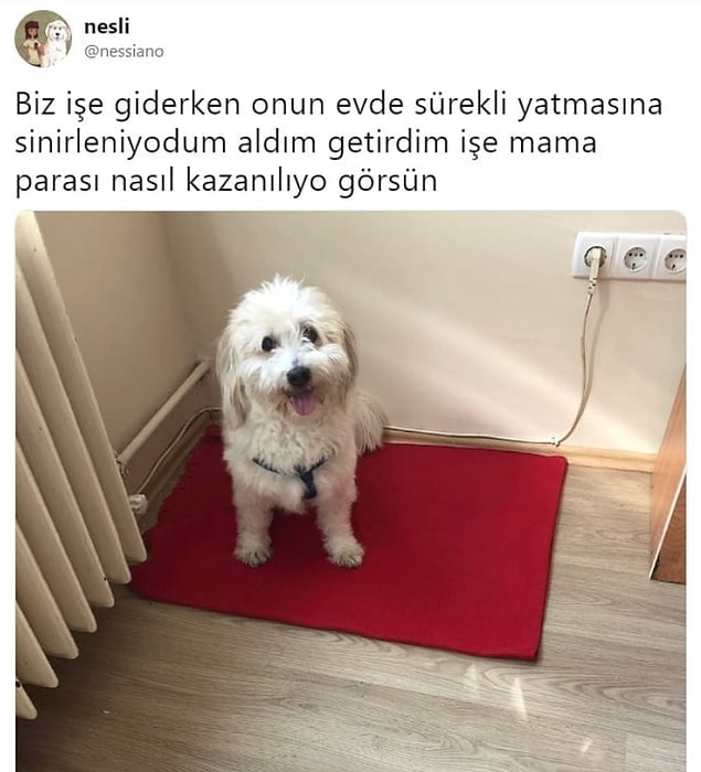 15. Gel gerçek hayatı öğren.