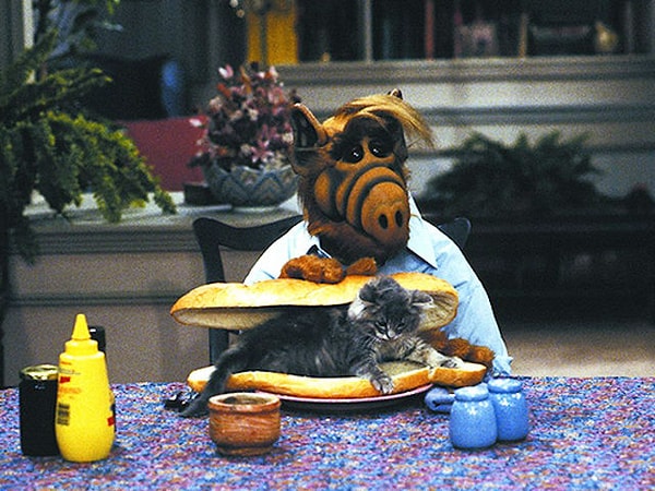 13. Кому из сериала "Альф" принадлежат эти слова: "Я сидел тихо, мирно. Потом проголодался. Дальше, как в тумане"?