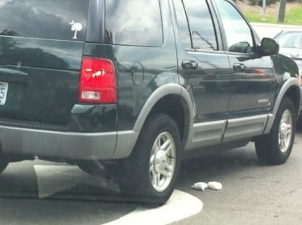 3. А потом их, конечно, нужно выкинуть на дорогу