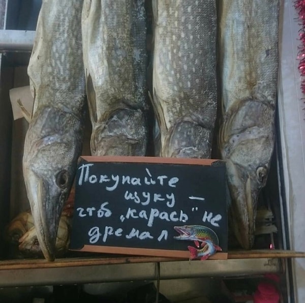 15. Покупайте щуку, товарищи