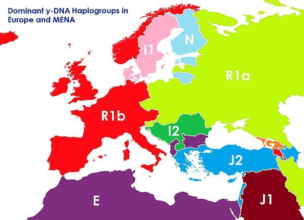 Haplogrup, "y kromozom haplogrup" ve "mitokondriyal haplogrup" olmak üzere iki bölümde inceleniyor. Yukarıda bahsettiğimiz harita ise y-DNA haplogruplarına göre oluşturulmuş...