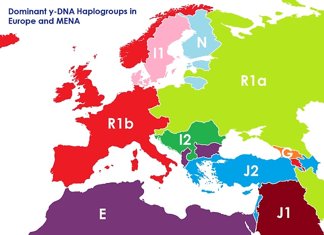 Haplogrup, "y kromozom haplogrup" ve "mitokondriyal haplogrup" olmak üzere iki bölümde inceleniyor. Yukarıda bahsettiğimiz harita ise y-DNA haplogruplarına göre oluşturulmuş...