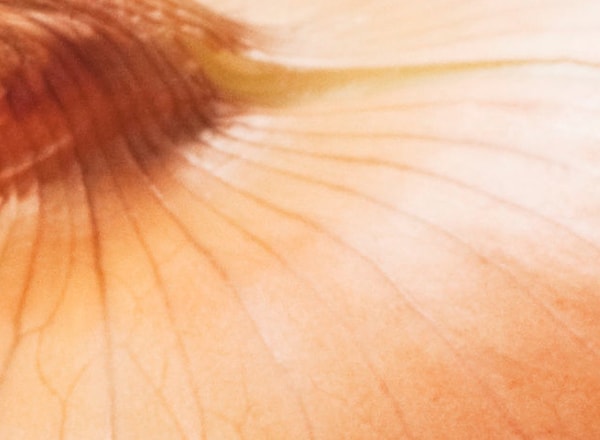 13. Хм... Что-то очень знакомое. Только вот что это?