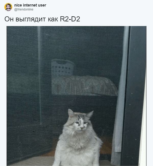 4. Но в большинстве случаев, это просто неудачные снимки