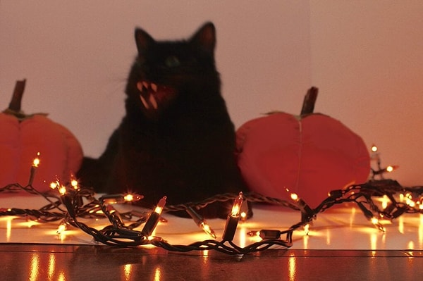 8. Согласитесь, жутковато