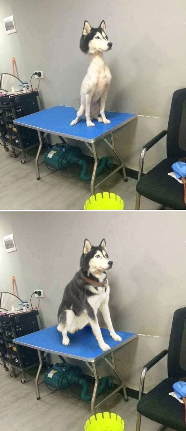 19. После процедур... Где здесь фотошоп?