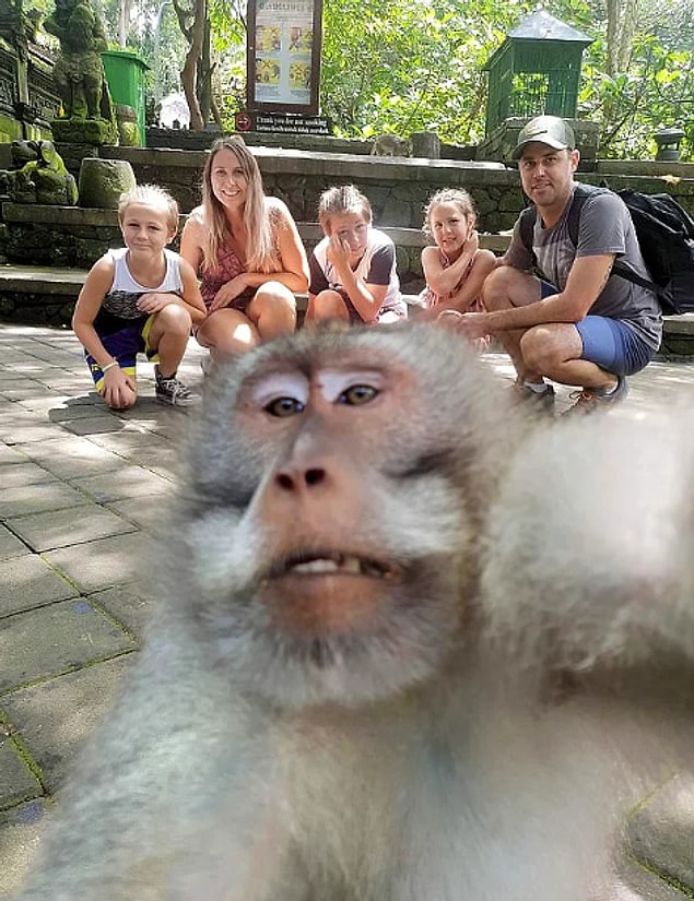 Ailenin annesi Judy'nin söylediğine göre fotoğrafa bakan aile kahkahalara boğulmuş.