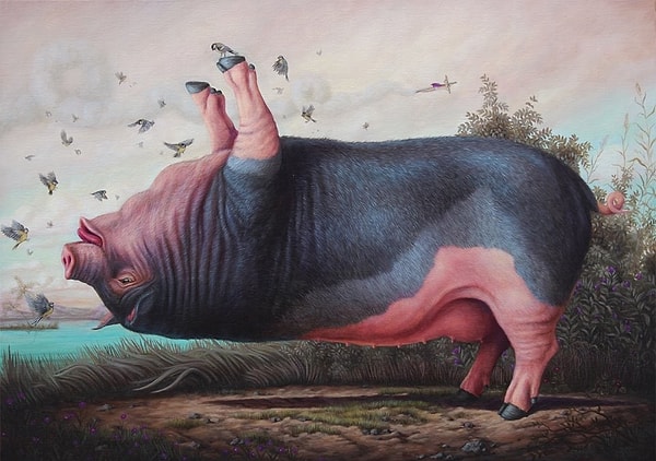 8. Хрюшка и гармония