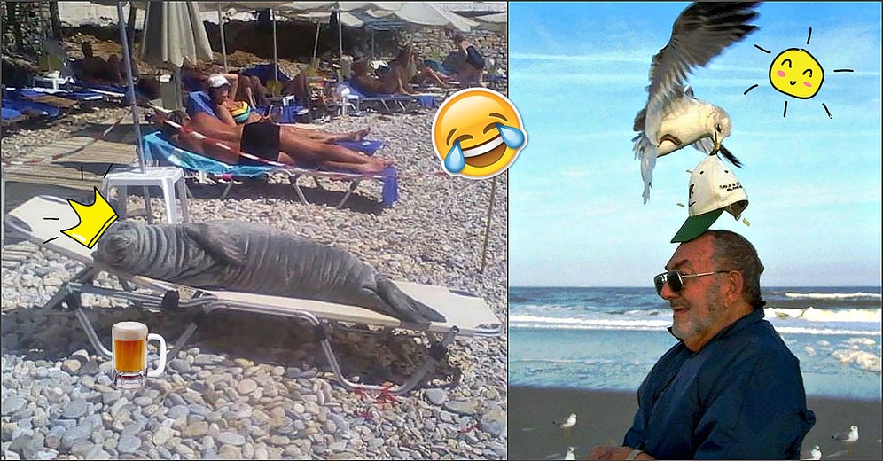 Все на море! 20 веселых фото с пляжа, которые напомнят о приближении отпуска