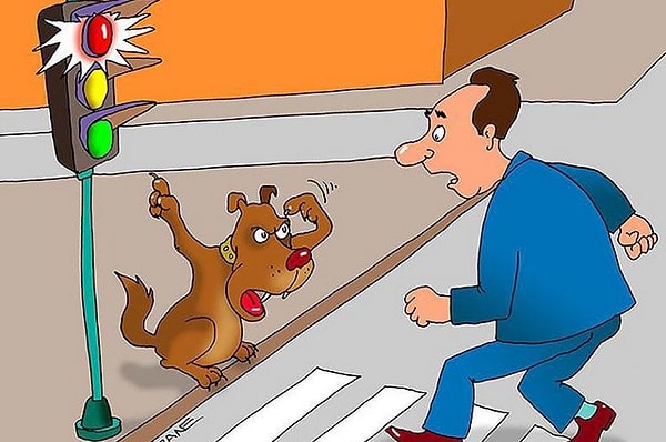 3. Насколько важно для вас соблюдать правила?