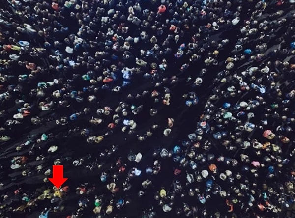 Посмотреть ответ: