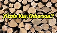 Yüzde Kaç Odunsun?