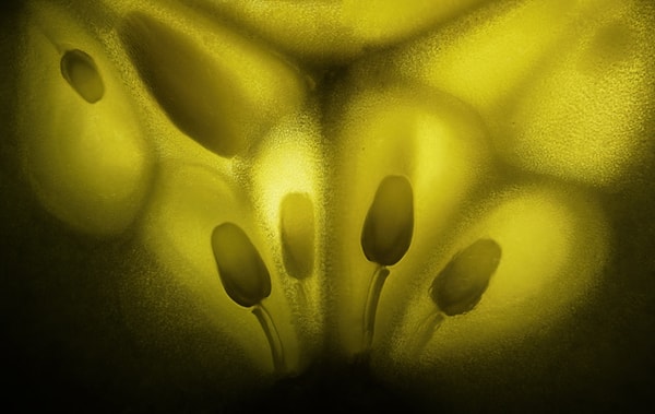 42. Кусочек огурца