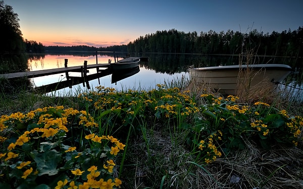 7. Территория этого государства покрыта холмистыми равнинами и густыми лесами. Не менее трети этой страны расположено за Полярным кругом. Один из писателей назвал эту страну «дочерью моря», но местные жители предпочитают называть ее «Суоми», что означает «страна болот».