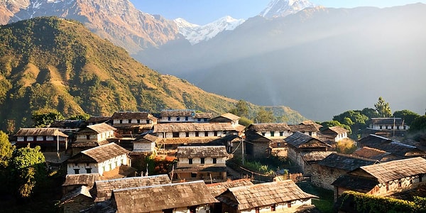 11. Государство входит в пятерку самых населенных стран мира. Отличается своей многонациональностью. В сельском хозяйстве абсолютно преобладает продукция растениеводства, хотя поголовье домашнего скота достаточно многочисленно.