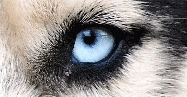 6. Эти глаза напротив - калейдоскоп огней 🎤🎵 🎶