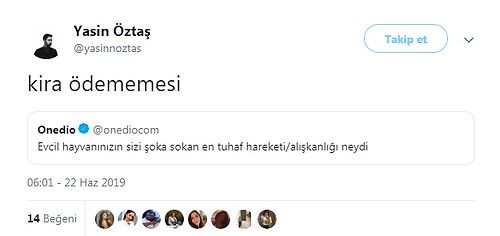 Evcil Hayvanlarının En Tuhaf Alışkanlıklarını Paylaşarak Hem Güldüren Hem Şoka Sokan Takipçilerimiz