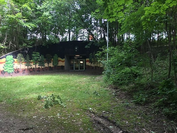 5. "Я нашел секретный вход в метро в лесу"