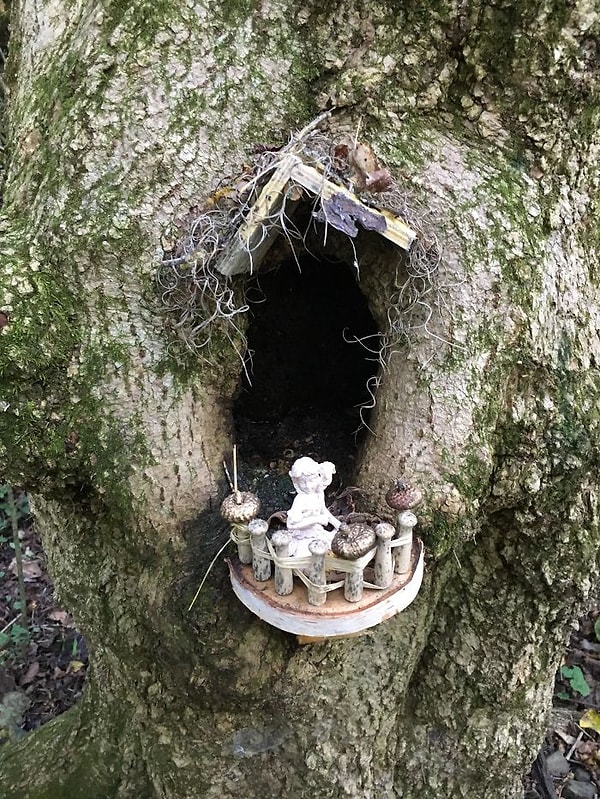 15. Кто-то проводил свой досуг очень весело