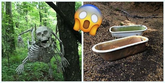 "Как такое возможно?", или Очередная порция странных предметов, найденных во время прогулок в лесу