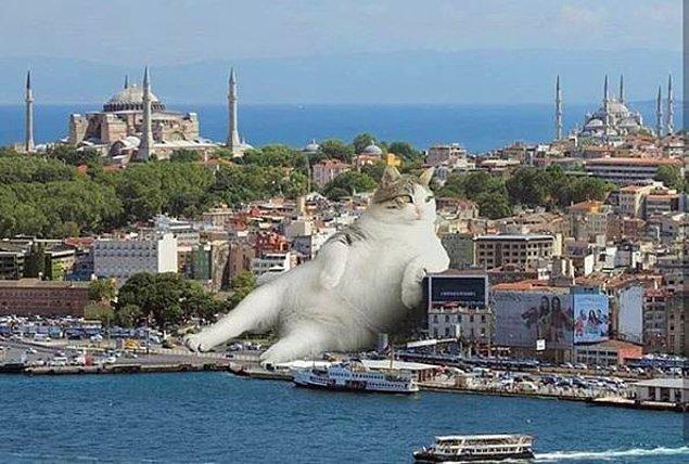 2. İstanbul anlık.