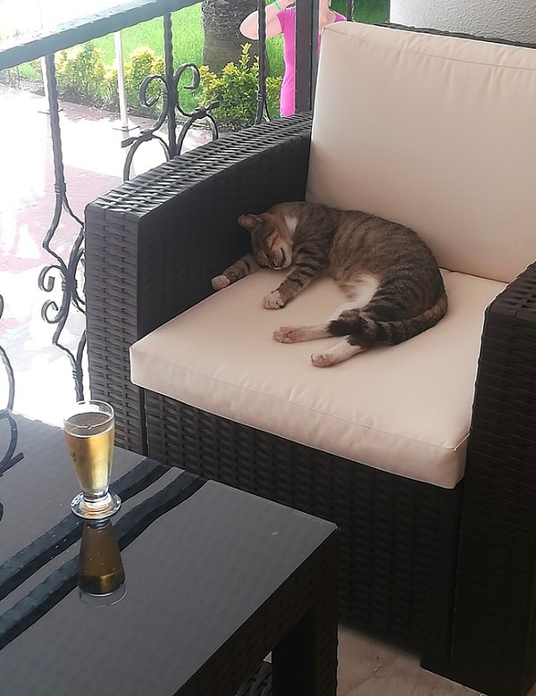 8. Когда хорошо отдохнул вечером в турецком отеле