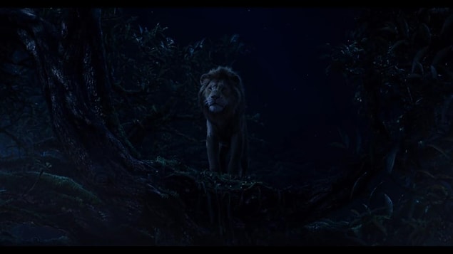 5. The Lion King / 19 Temmuz