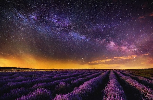 16. Звездное небо