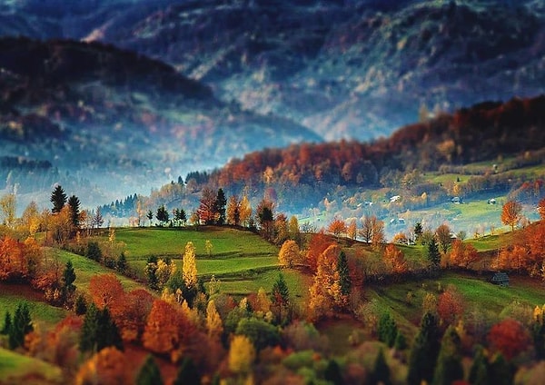 26. Прекрасная осень