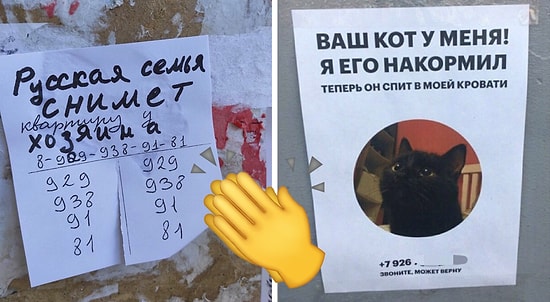 Топ-20 великолепных объявлений с юморком, от которых вас унесет в далекие дали (Часть 1)