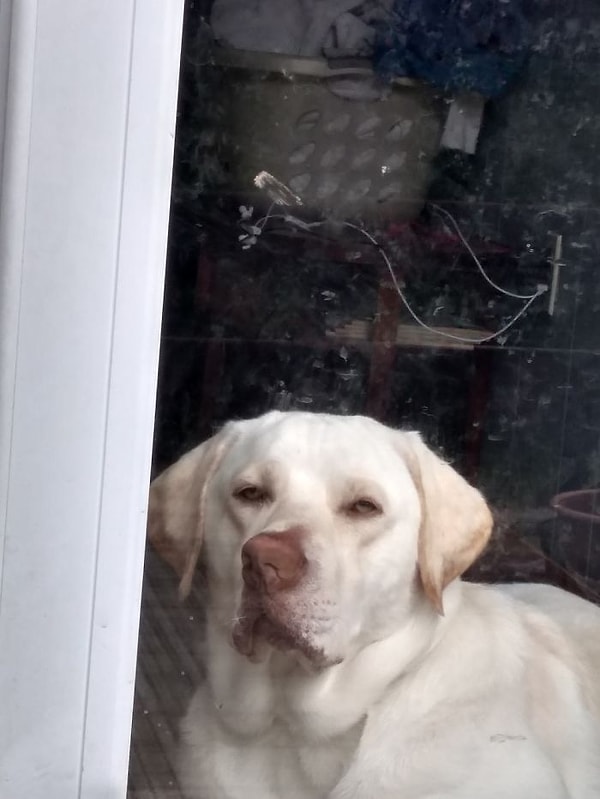 15. Приуныл что ли...