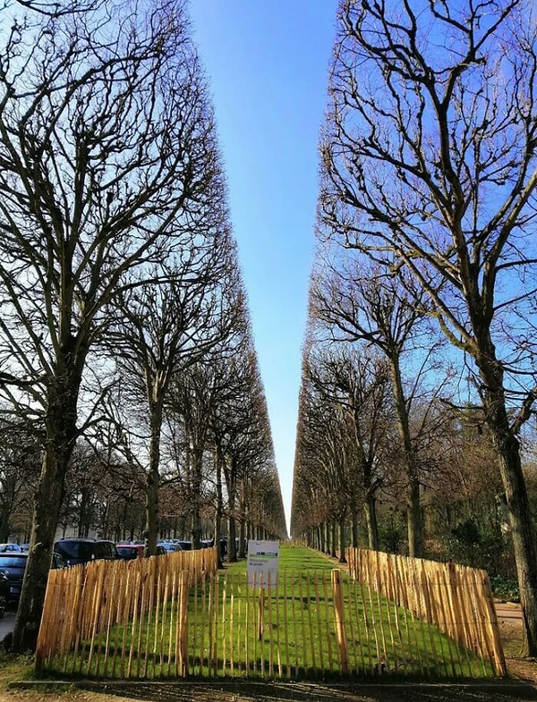 15. Это настоящее искусство!