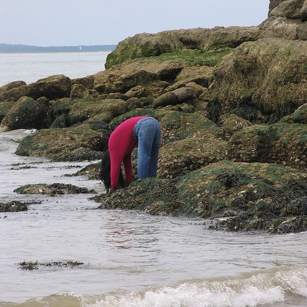 14. Не один турист хотел помочь ей