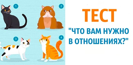 Тест: Выберите одну из четырёх кошек и узнайте, какой партнёр сможет сделать вам счастливым