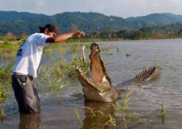 6. Ути-ути-ути, плыви сюда, малыш, я тебя рыбкой угощу!